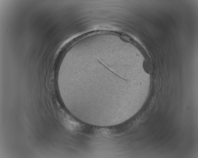 X0000080810971200701122236