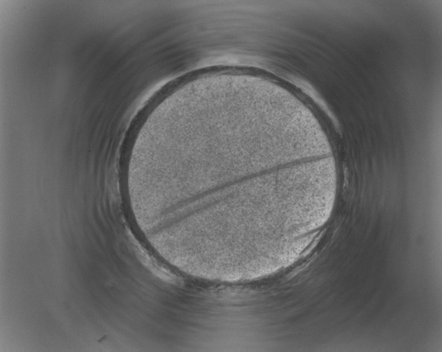 X0000080810972200701122236