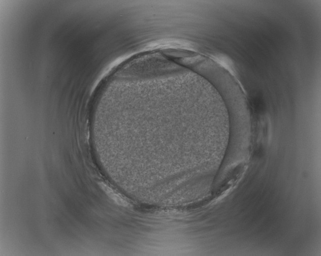 X0000080810973200701122236