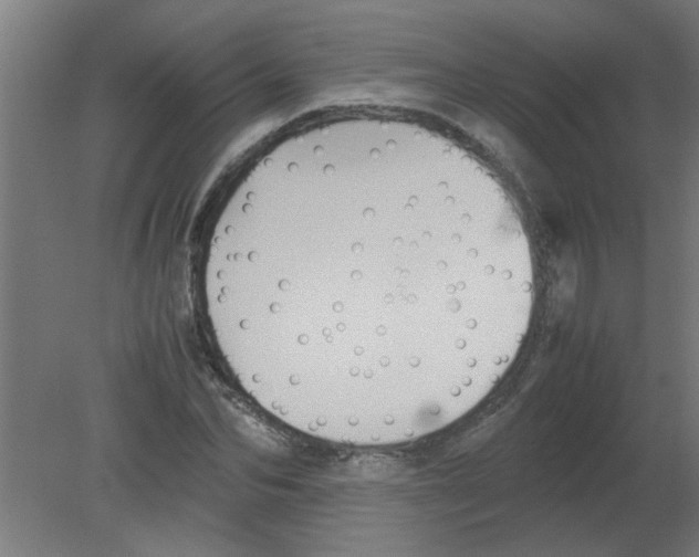 X0000080810974200701122236