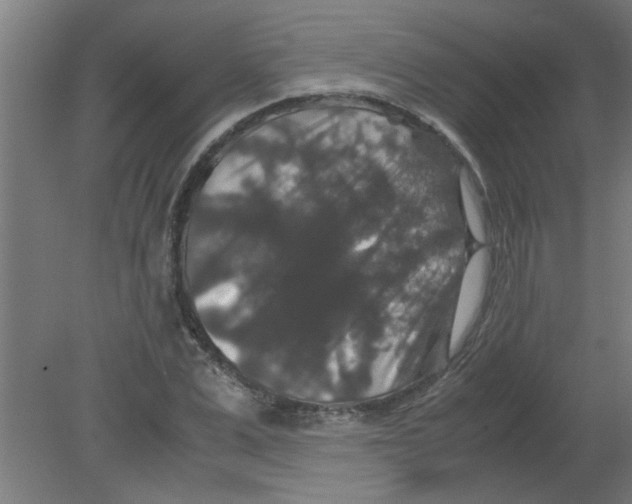 X0000080810975200701122236