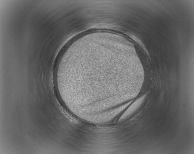 X0000080810976200701122236