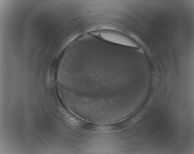 X0000080810977200701122236