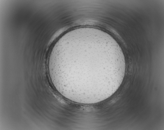 X0000080810978200701122236