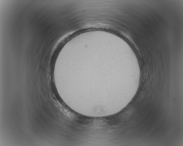 X0000080810979200701122236