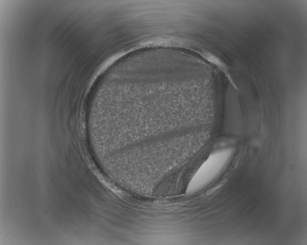 X0000080810981200701122236