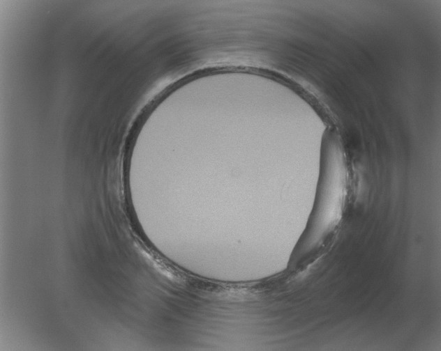 X0000080810982200701122236