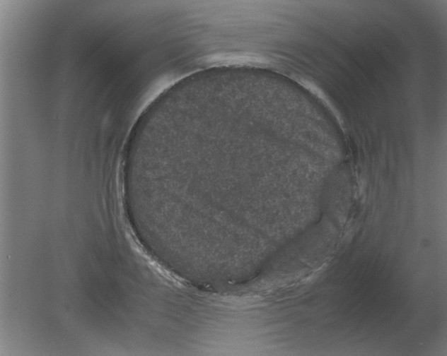 X0000080810983200701122236