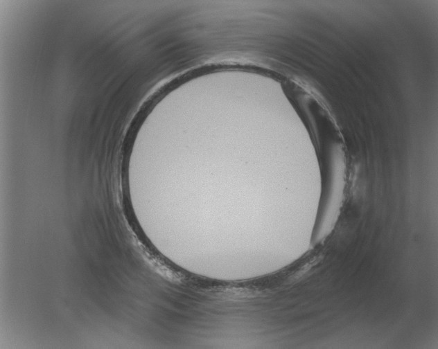 X0000080810984200701122236