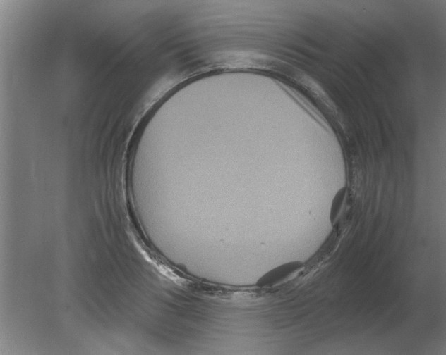 X0000080810986200701122236