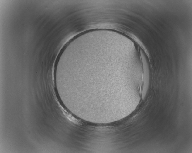 X0000080810988200701122236