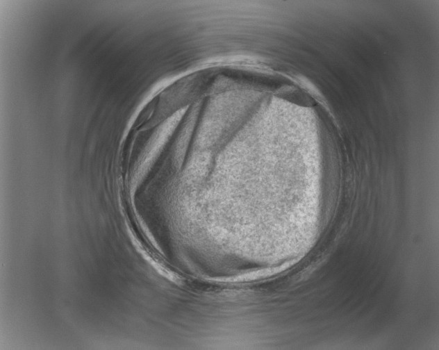 X0000080810989200701122236