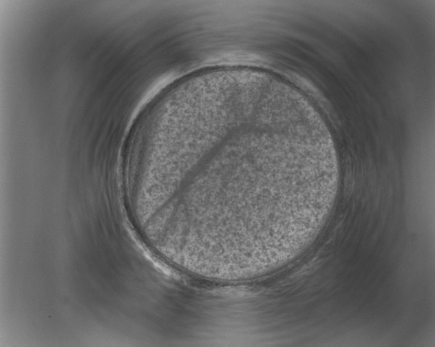 X0000080810990200701122236