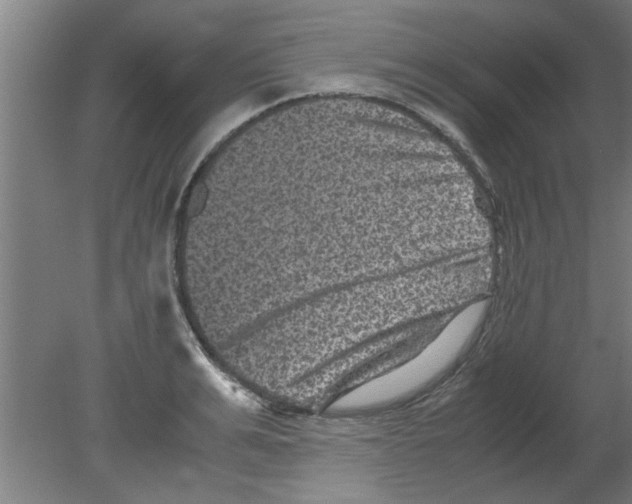 X0000080810991200701122236