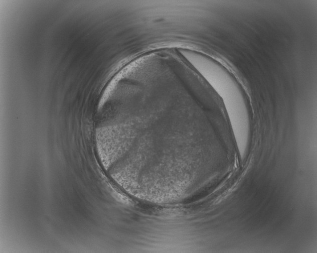 X0000080810993200701122236