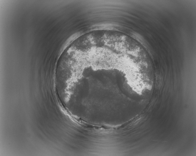 X0000080810994200701122236