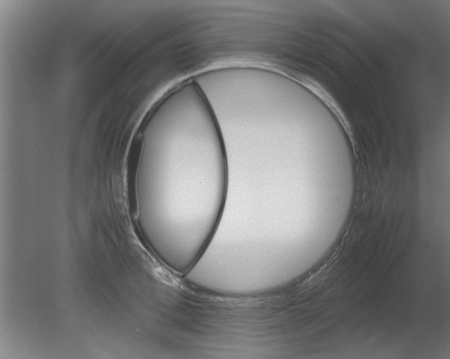 X0000080810996200701122236