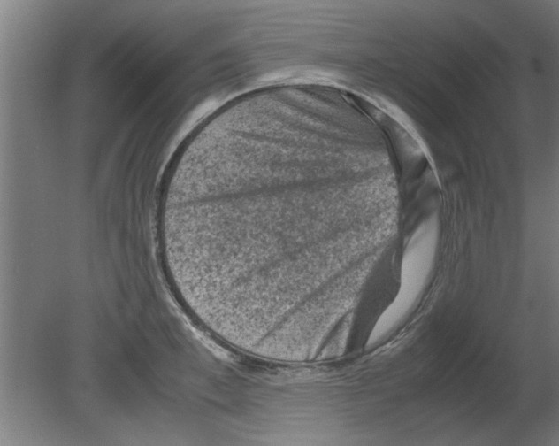 X0000080810997200701122236