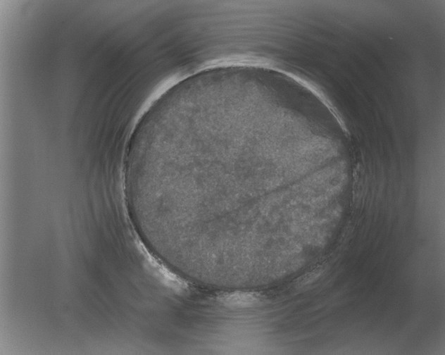 X0000080810998200701122236