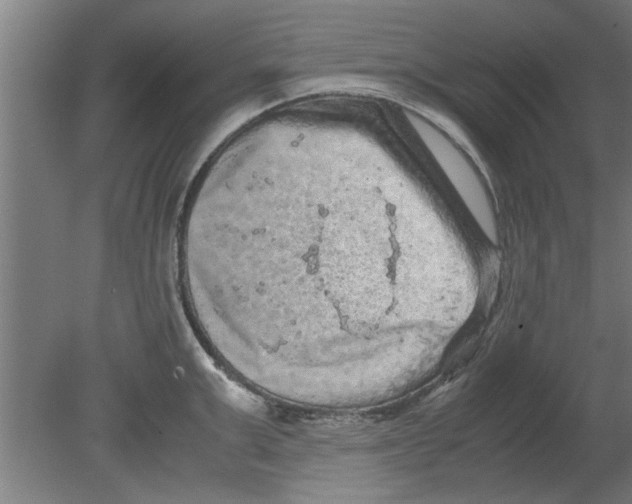 X0000080810999200701122236