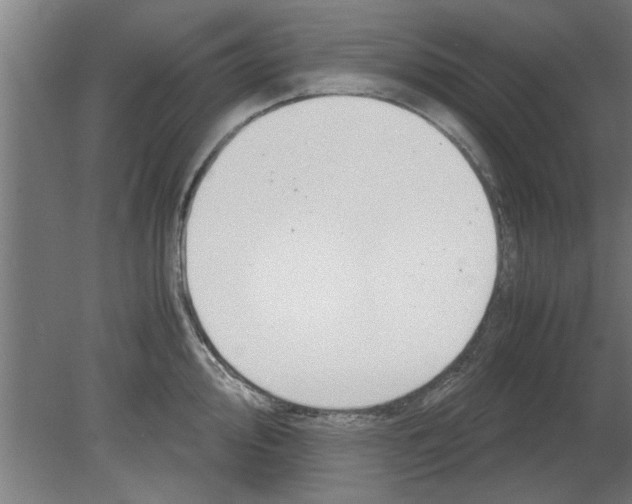 X0000080811000200701122236