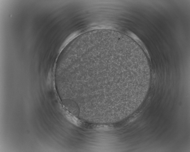 X0000080811002200701122236