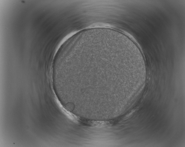 X0000080811003200701122236