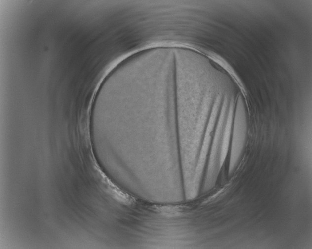 X0000080811004200701122236