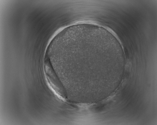 X0000080811005200701122236