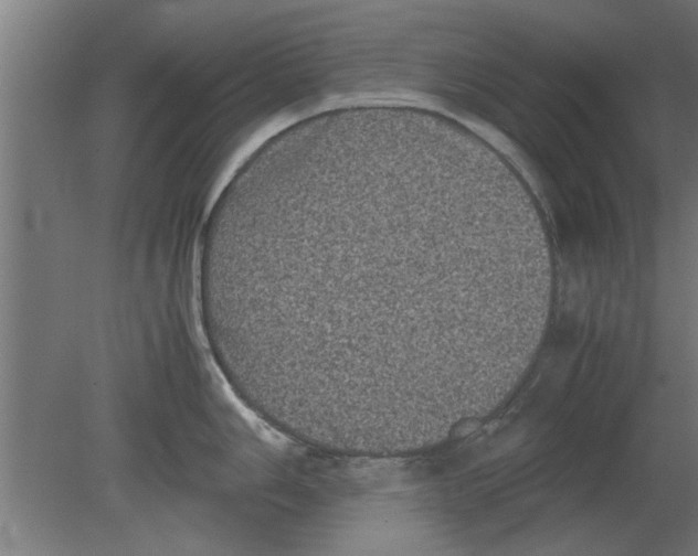 X0000080811006200701122236