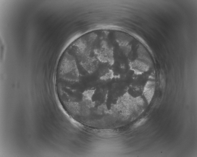 X0000080811007200701122236