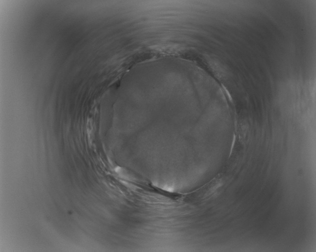 X0000080811010200701122235