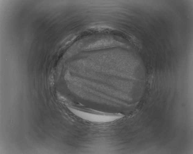 X0000080811014200701122235