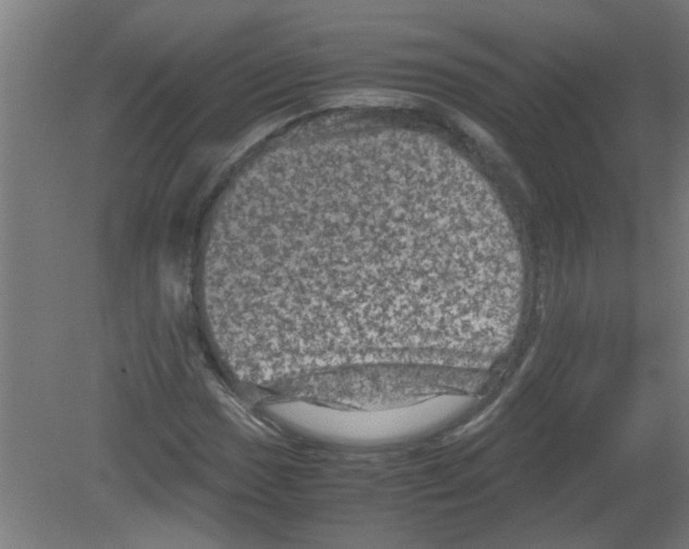 X0000080811017200701122235