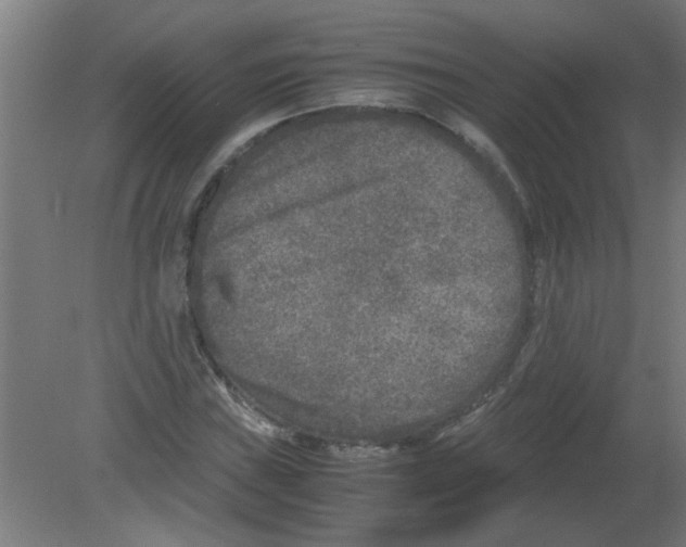 X0000080811019200701122235