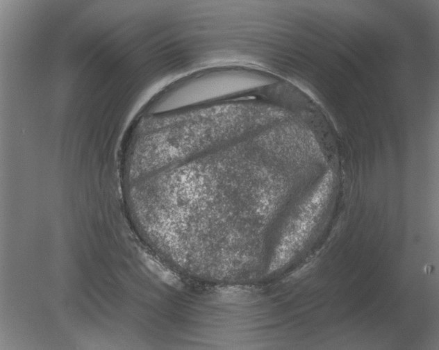 X0000080811022200701122235