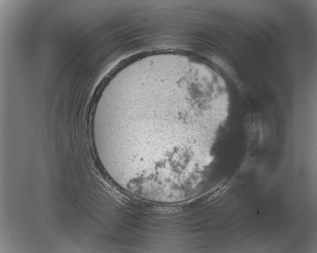 X0000080811023200701122235