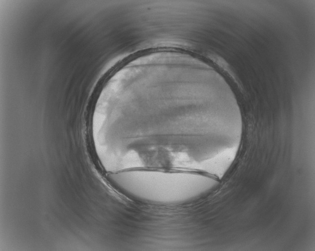 X0000080811024200701122235