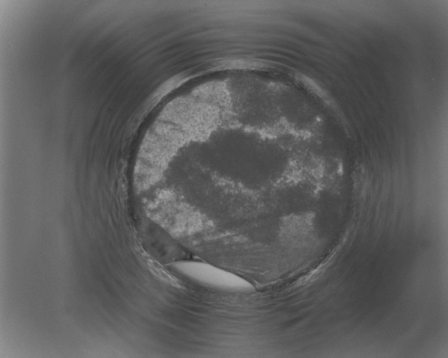 X0000080811025200701122235