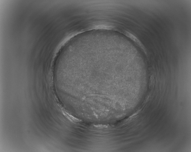 X0000080811027200701122235