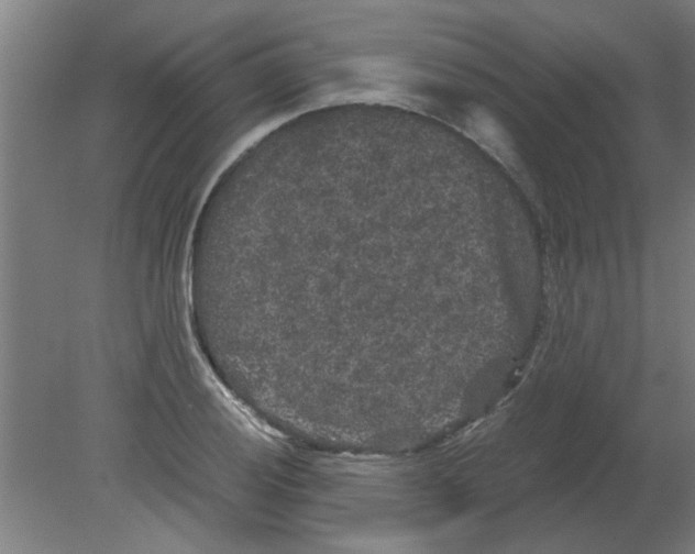 X0000080811028200701122235