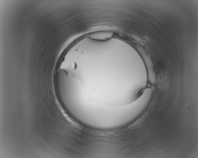 X0000080811030200701122235