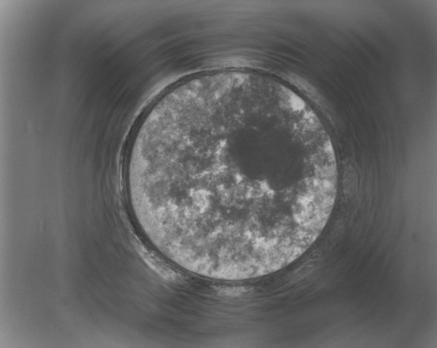 X0000080811031200701122235