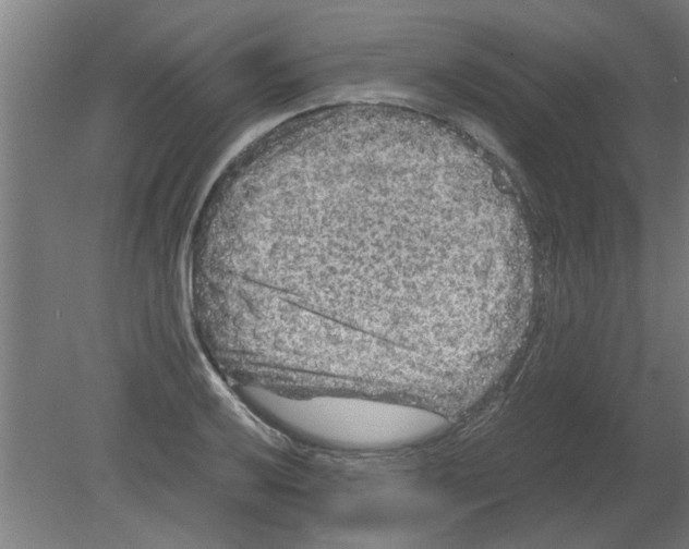 X0000080811032200701122235