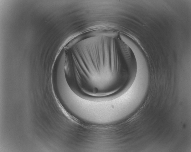 X0000080811034200701122235