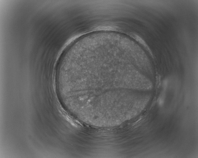 X0000080811035200701122235