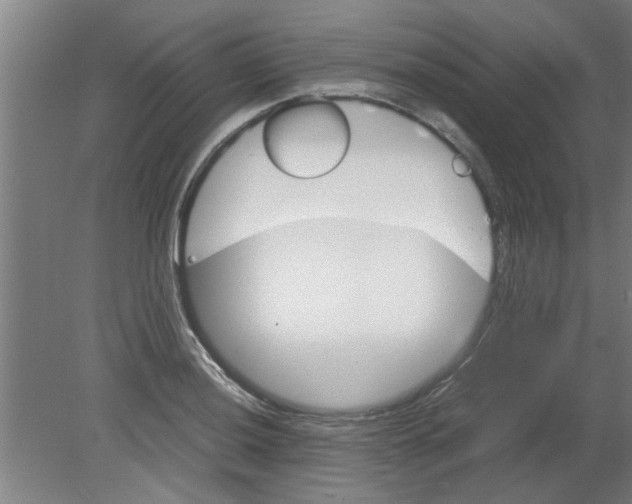 X0000080811036200701122235