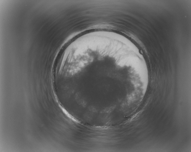 X0000080811037200701122235