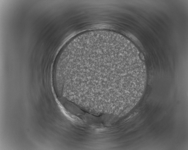 X0000080811039200701122235