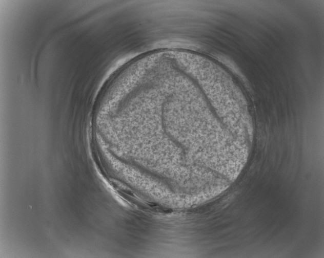 X0000080811040200701122235